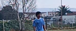 Dornelle dornelle