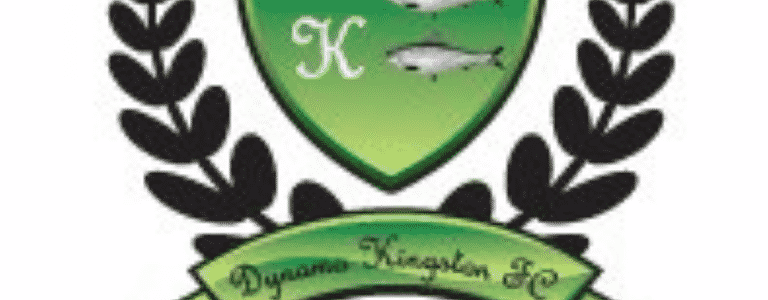 Dynamo Kingston Sunday - Division 12 team photo