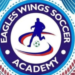 Eagles Wings SA team badge