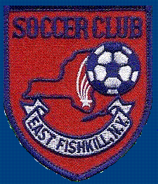 East Fishkill team badge