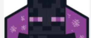 Endy enderman