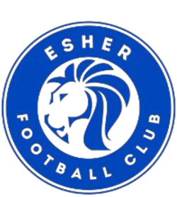 Esher FC Cobras Under 13s team badge