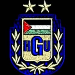 FC Midlands HGU team badge