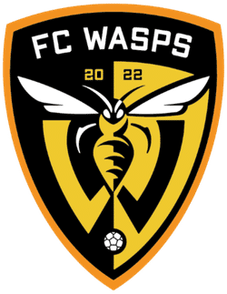 FC Wasps team badge