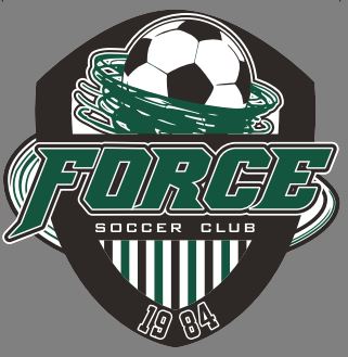 Force SC team badge