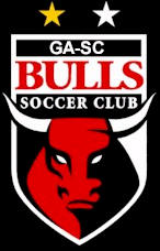 GA-SC Bulls team badge