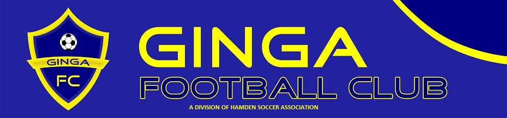 Hamden Ginga FC team badge