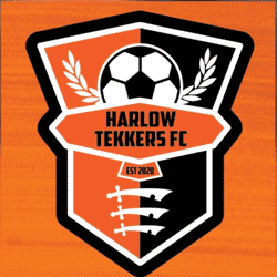 Harlow Tekkers Y U12 Wolves team badge