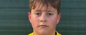 Harry Lawes