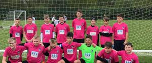 Hastings Wanderers U12 Lions