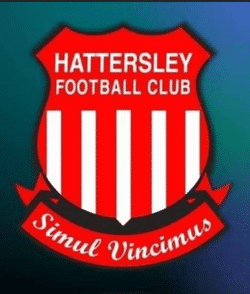 Hattersley FC U11 Vipers team badge
