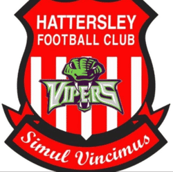 Hattersley FC U13 Vipers team badge