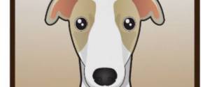 Hayden 'the Whippet'