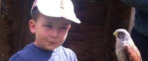 Haydyn Pryce