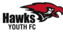 Highcliffe Hawks U12 Heatwave team badge