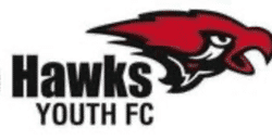 Highcliffe Hawks Youth U11 Heatwave team badge