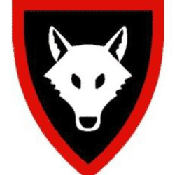 Holmbury & Westcott Wolves U15 team badge