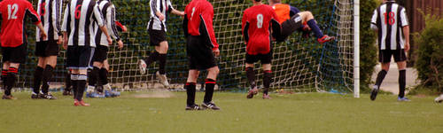 Chalgrove Cavaliers