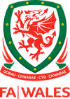 Welsh FA Logo