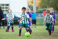 The importance of small sided games