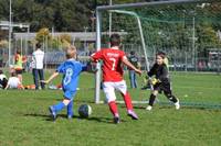 Would a Windfall Tax on Premier League Clubs support Grassroots Football?