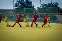 The Influence of Professional Football on Grassroots Levels