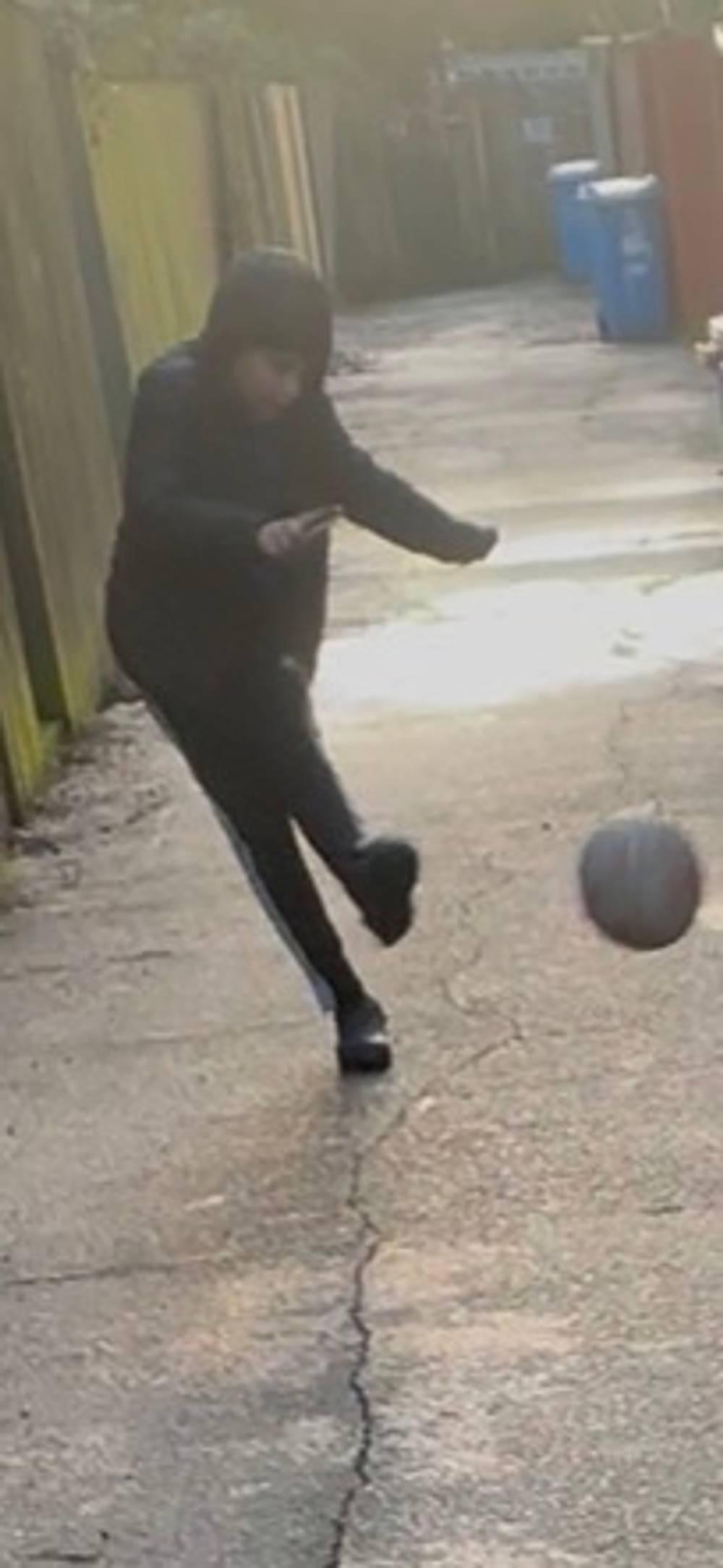 The Snakes North AFC