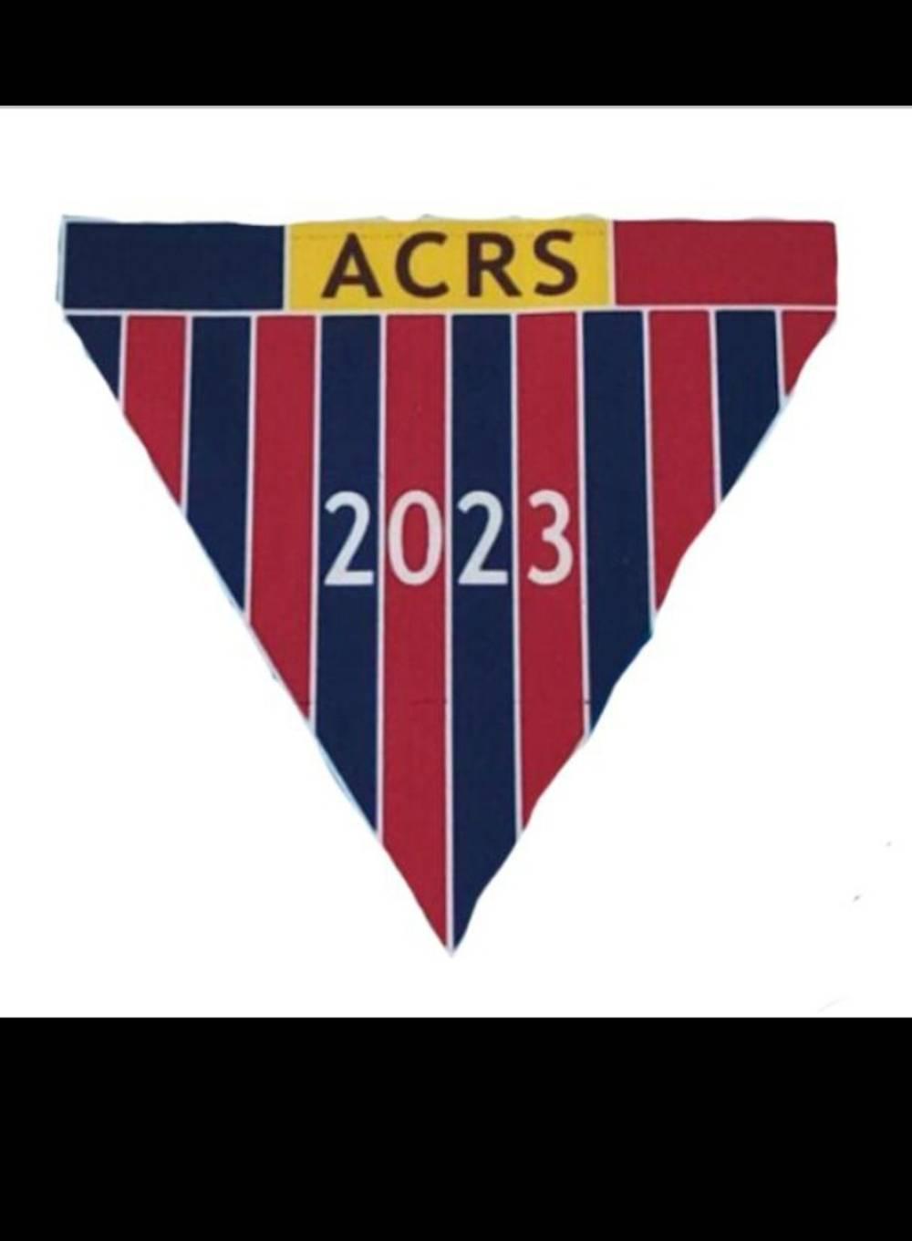 AC Ratele Sibiu