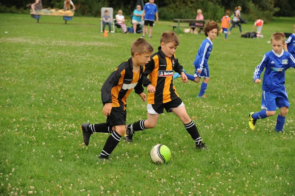 Parklands Tigers Black