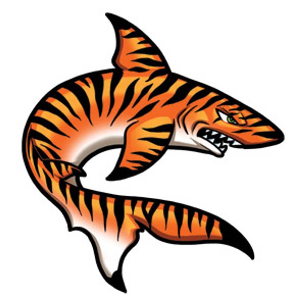 ROFC Tiger Sharks