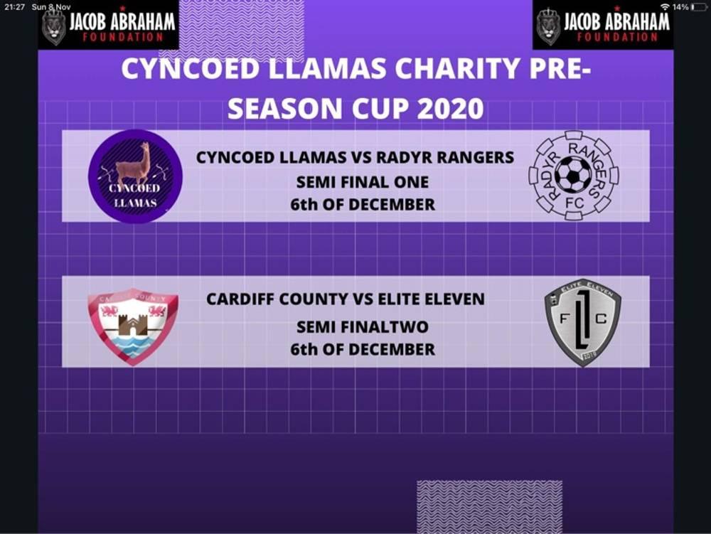 Cyncoed Llamas