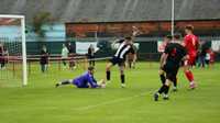 Cup hopes evaporate by clinical 'Noull display
