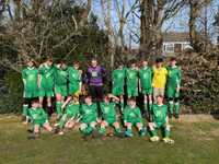 Whitegrove Bees Secure Victory Against Berks County T-Rexes