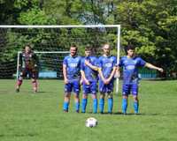 Shaw Heath Bees