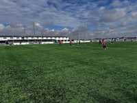 A.S. Cetate Bucuresti Triumphs Over International București 2-1
