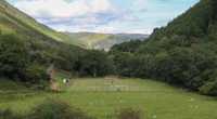Corris United