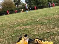 Farnham Royal Mavericks