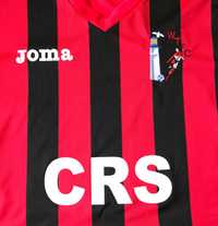 Watchet Town Reserves