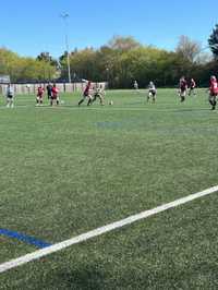Wimborne Town Women Dominate Bridport Ladies Reserves 12-0