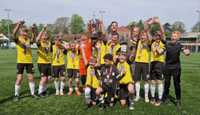 FC Wasps