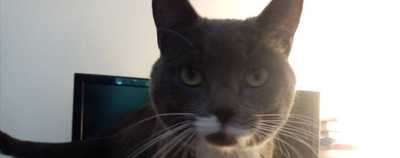 GET INTO THE GROOVE!!!