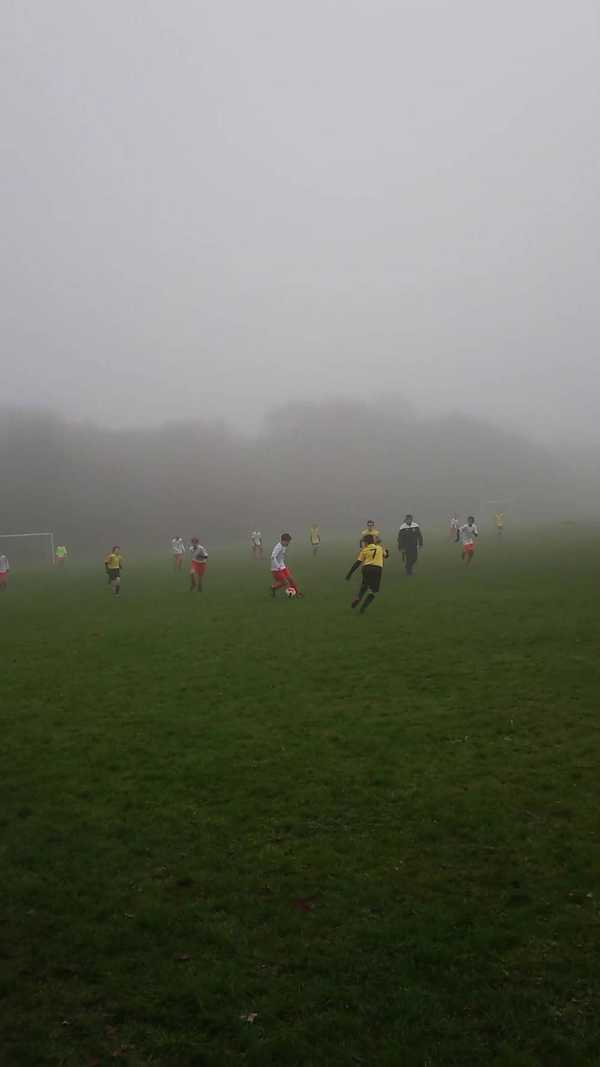 Another strong display