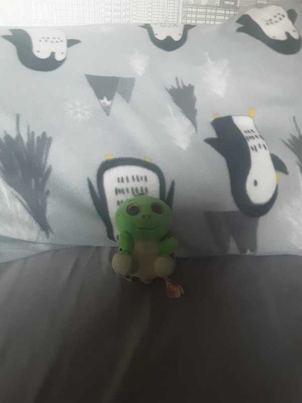 York FC Triumph 4-2 Over Melbourne City in Five-A-Side Clash