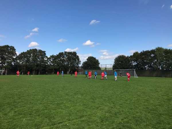 🐍🐍 SNAKES BITE BACK 🐍🐍