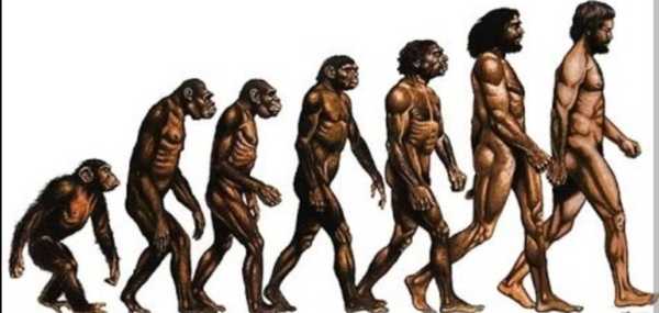 THE ORIGIN OF SPECIES!!!!