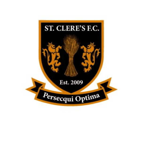 St Clere's Y U14 Tigers badge