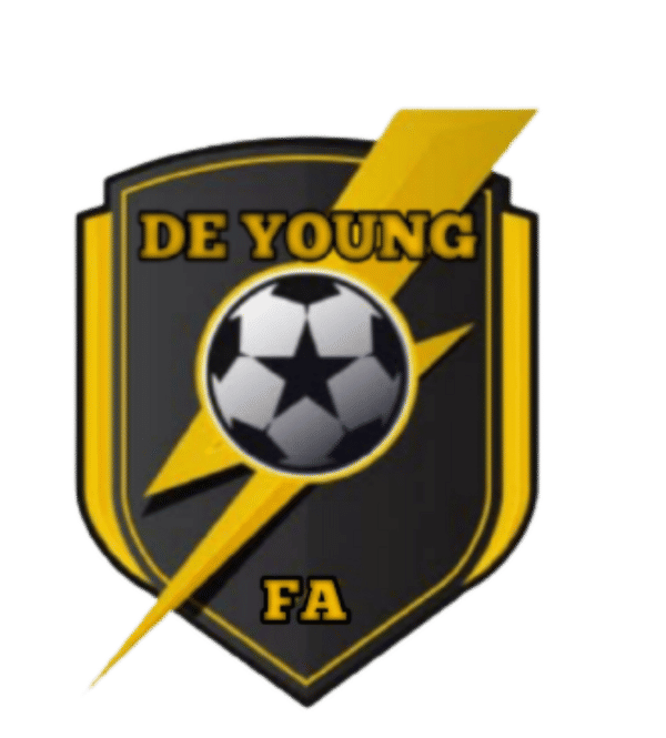 DE YOUNG FOOTBALL ACADEMY badge