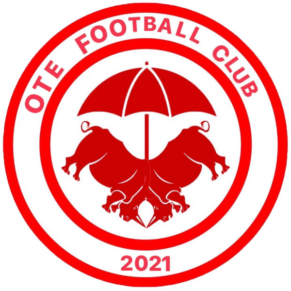 FC Ôtê badge