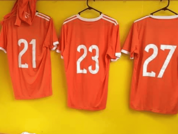 Wellington United Reserves badge