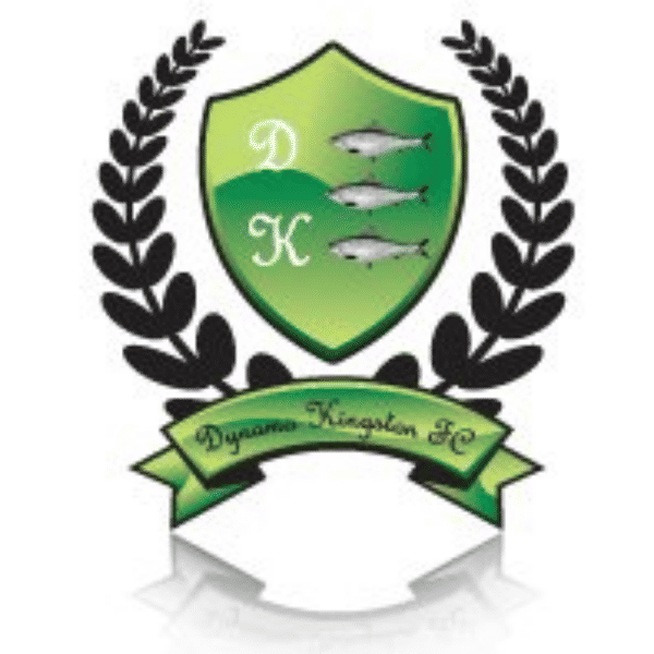 Dynamo Kingston Sunday